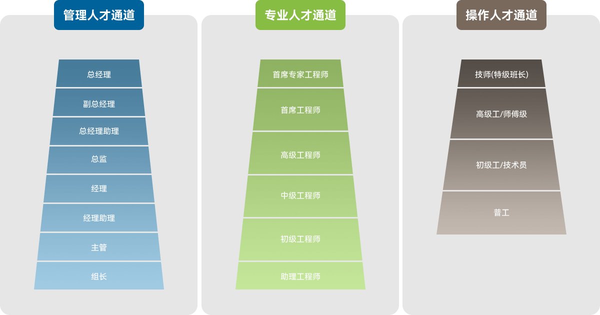 人才發(fā)展概述